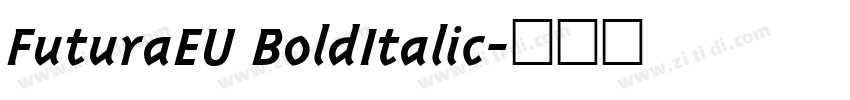 FuturaEU BoldItalic字体转换